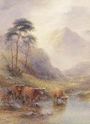 unknow artist Highland cattle in a stream France oil painting artist